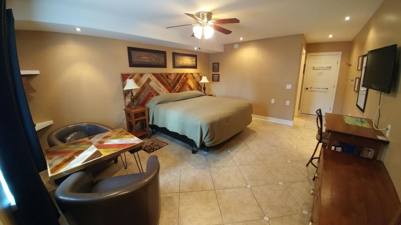 Lionheart B&B Lion's Head Luaran gambar